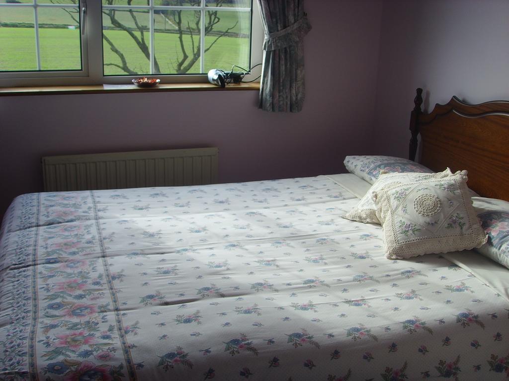 Springfield House B&B Клонакилти Номер фото
