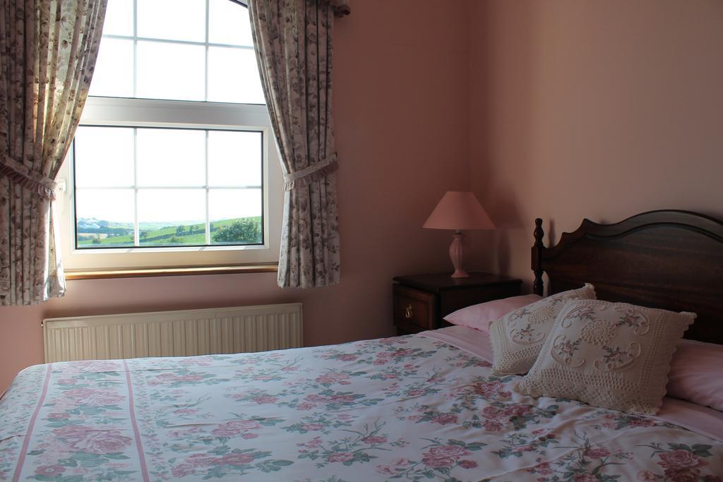 Springfield House B&B Клонакилти Номер фото